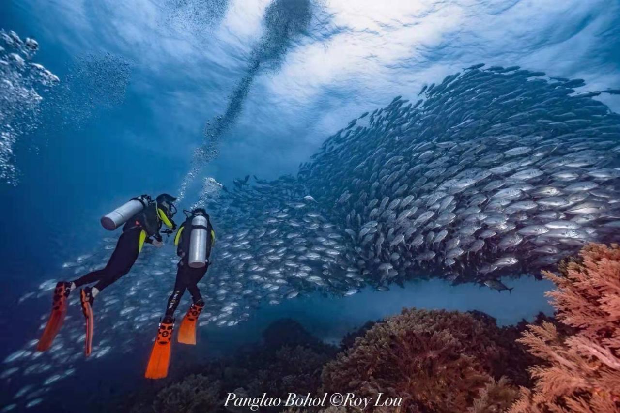 Ultra Mint Dive Resort Panglao Εξωτερικό φωτογραφία